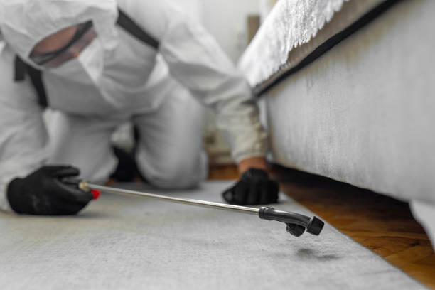 Professional Termite Control technician working in San Rafael, NM