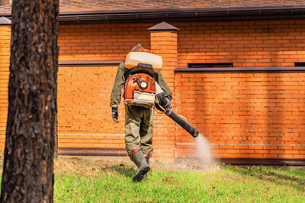 Trusted Fumigation Services service in San Rafael, NM - Nex Pest Control